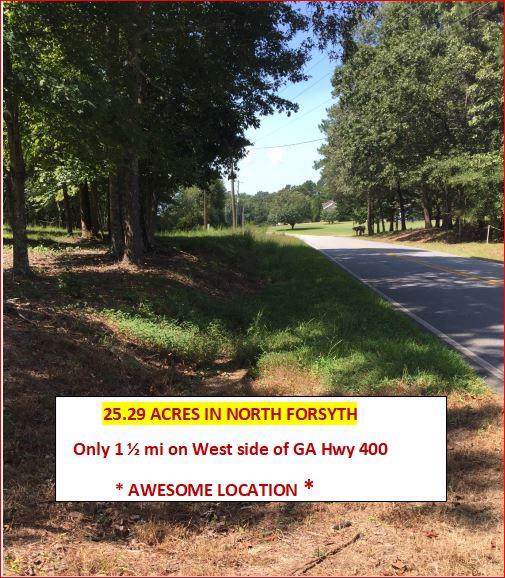 25.29A Burruss Road - Photo 1