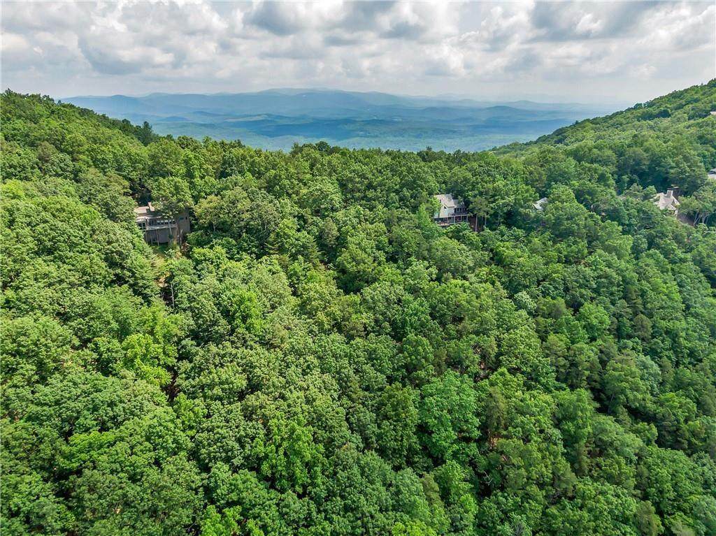 649 Woodland Trace - Photo 1