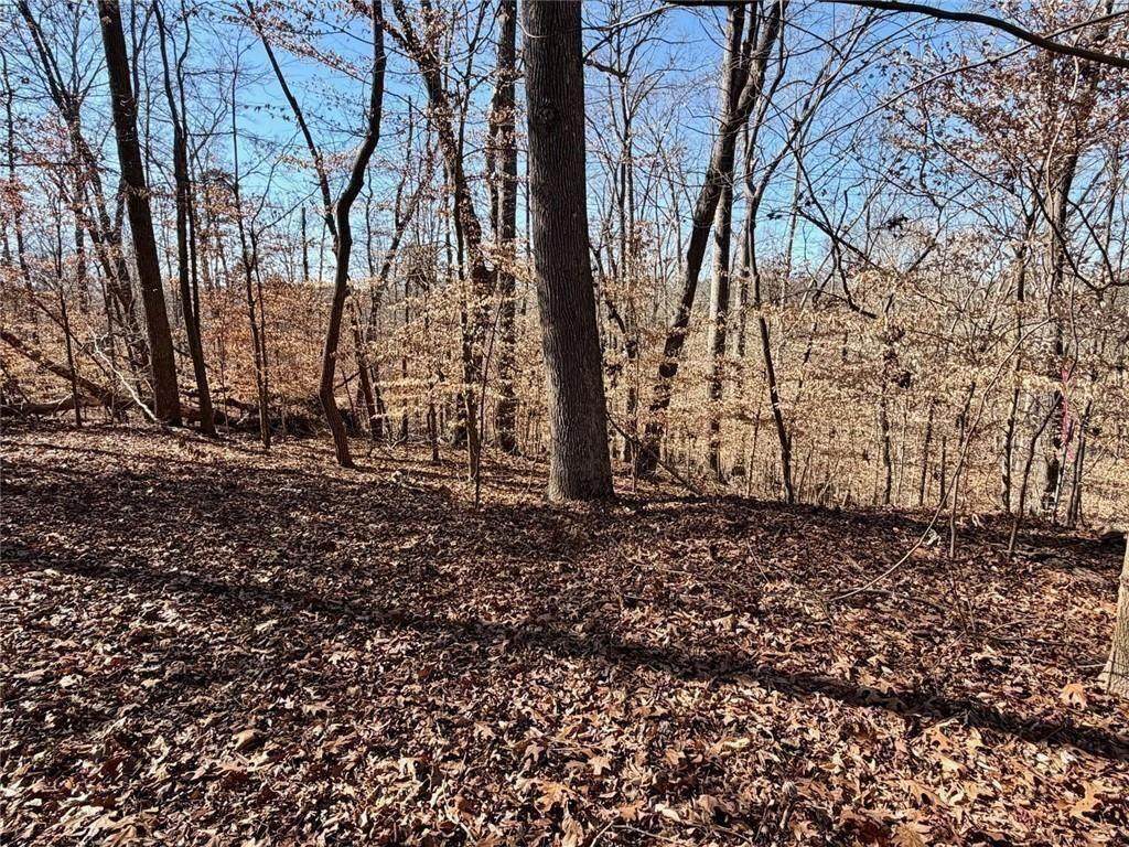 0 Arrowhead Court - Photo 1