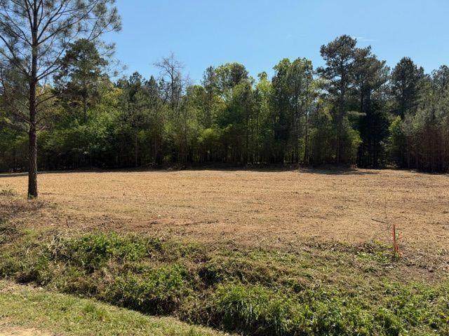 84 Popham Road Tract 2 - Photo 1