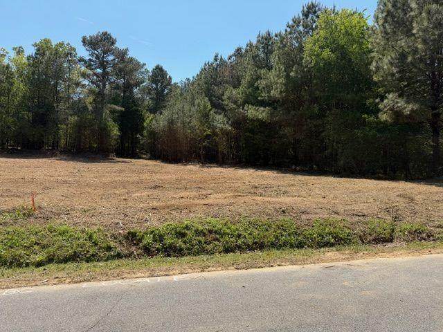 84 Popham Road Tract 3 - Photo 1