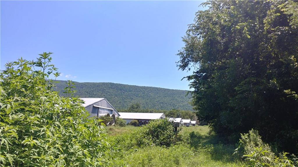 8325 Harmony Road - Photo 1