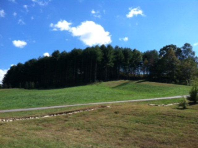 18 N. Sundrops Trail - Photo 1