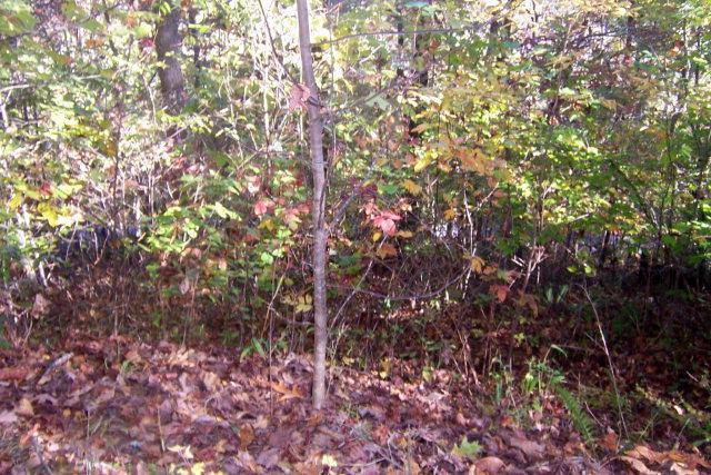 00 Reserve Rd. - Photo 1