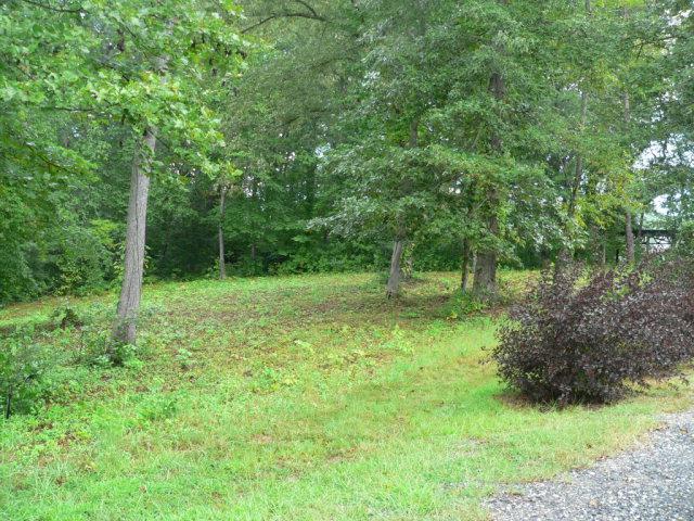 17 Sunshine Acres - Photo 1