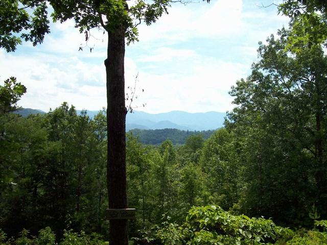 000 Mountain Meadow Circle - Photo 1