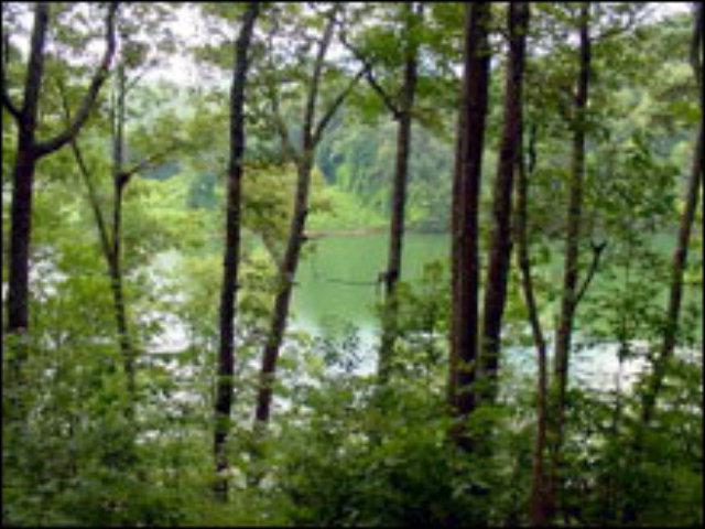 3 lots Rocky Bluff Drive Fontana Lake Estates - Photo 1