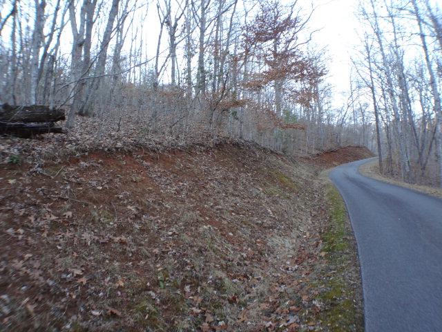 Lt 45-48 Trimont Mountain Trail - Photo 1