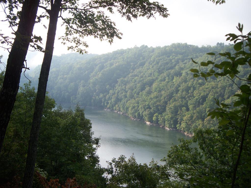 54-1 Fontana Lake Drive - Photo 1