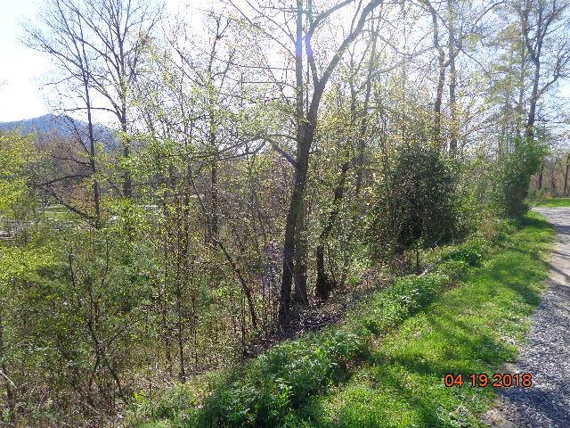 171 Flying Squirrel Ridge - Photo 1