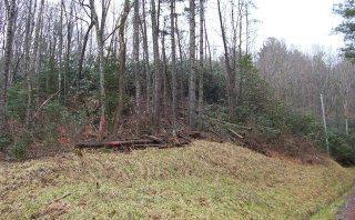 VL311 Mountain Forest Estates - Photo 1