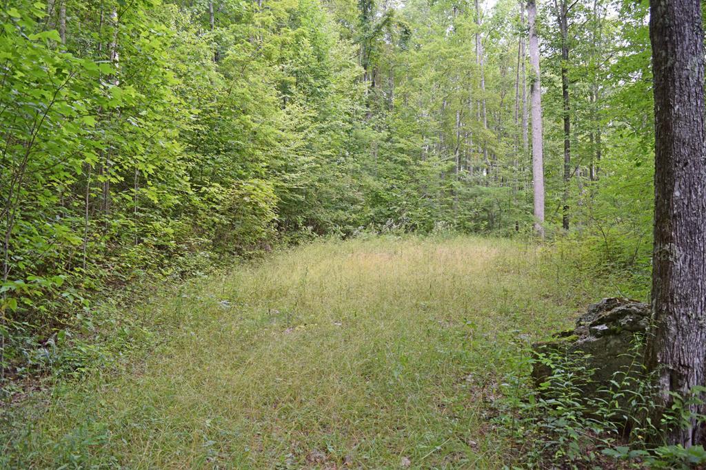 159 Gizzy Dr - Photo 1
