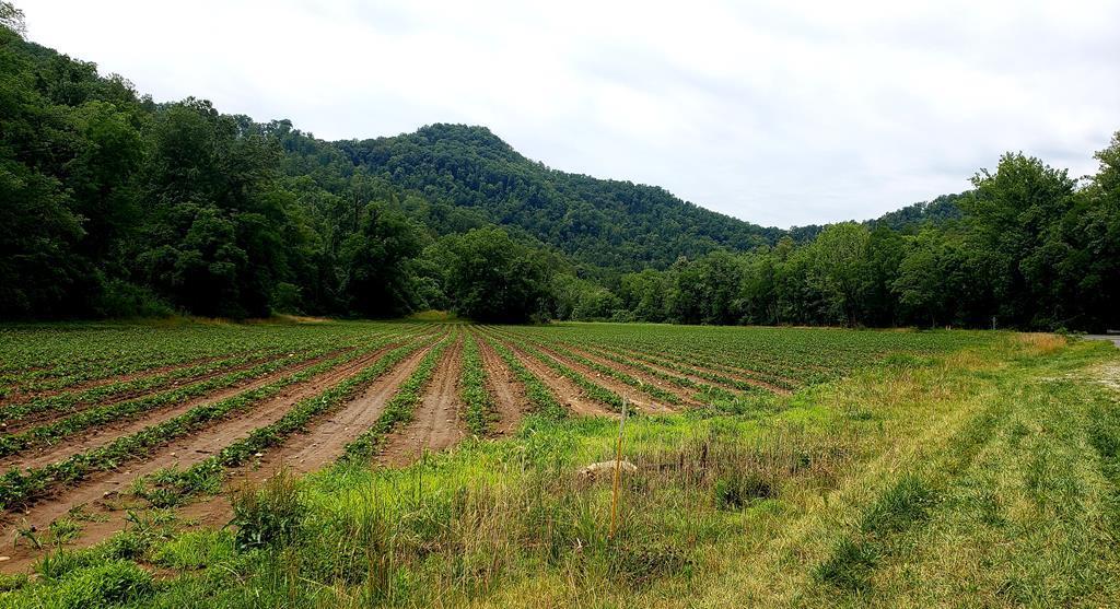 000 Caney Fork Road - Photo 1 000 Caney Fork Road - Photo 1