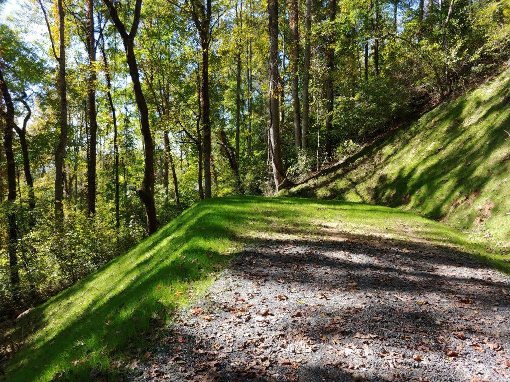 Lot 43 Thomas Divide Way - Photo 1