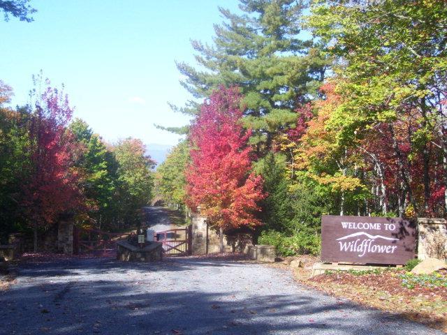 00 High Gap Road - Photo 1