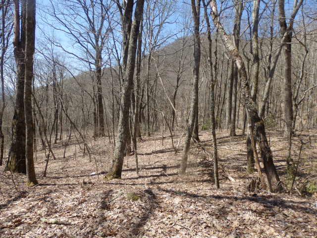 000 Greenspire Rd. - Photo 1