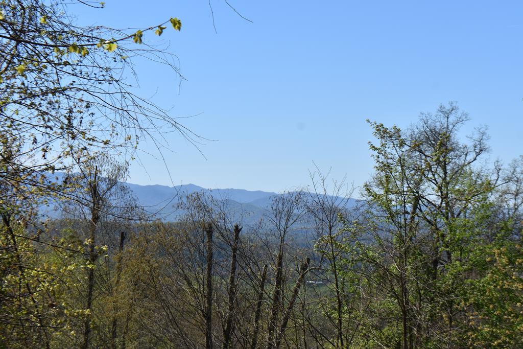 149 Skyline Park Dr - Photo 1