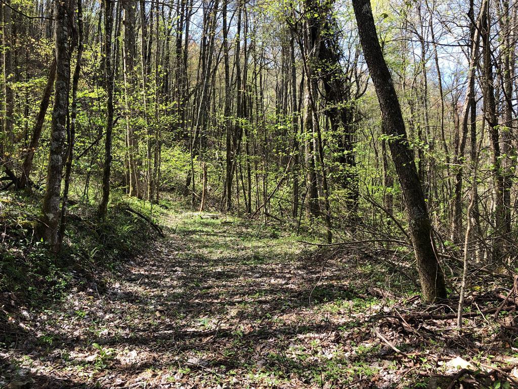 Lot 74 Black Rock Creek - Photo 1