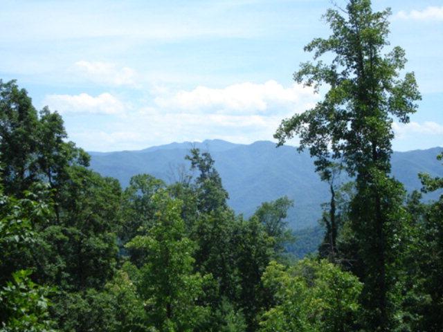 Lot 59 Fontana Trace Drive - Photo 1