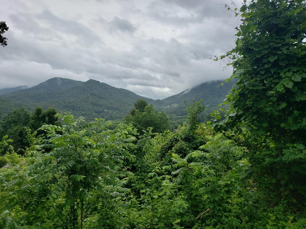 00 Ruffed Grouse Lane - Photo 1