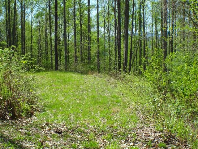 Lot 3 Deweese Rd - Photo 1