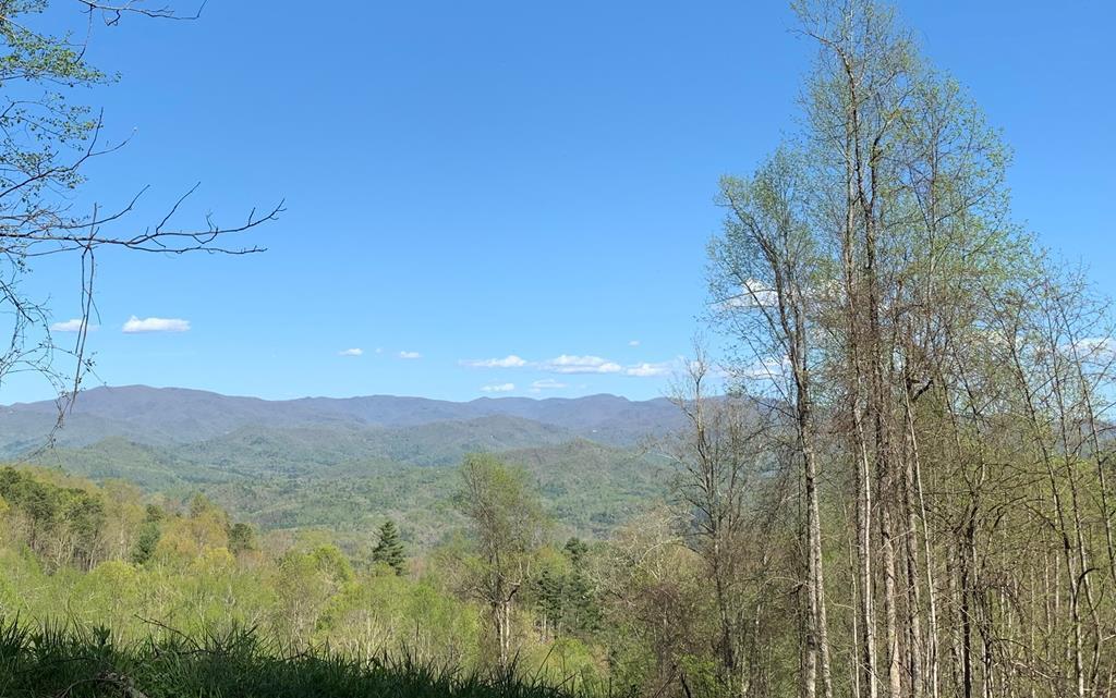 Lot 44 Bee Gum Ridge - Photo 1