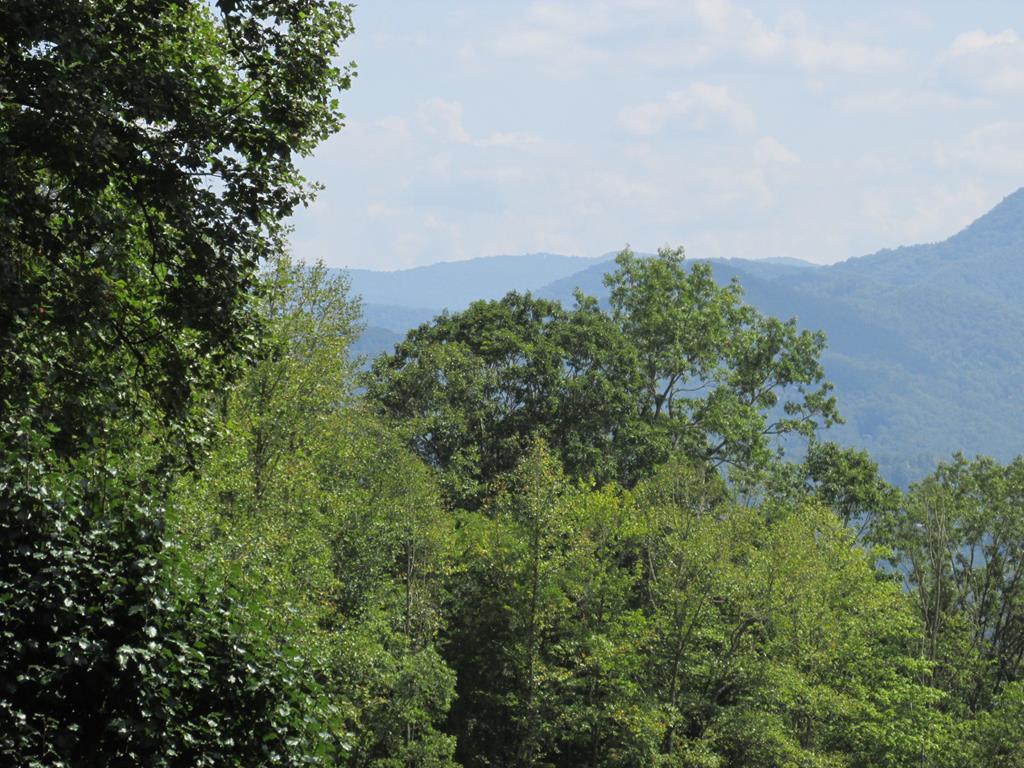 00 Gobbler Ridge - Photo 1