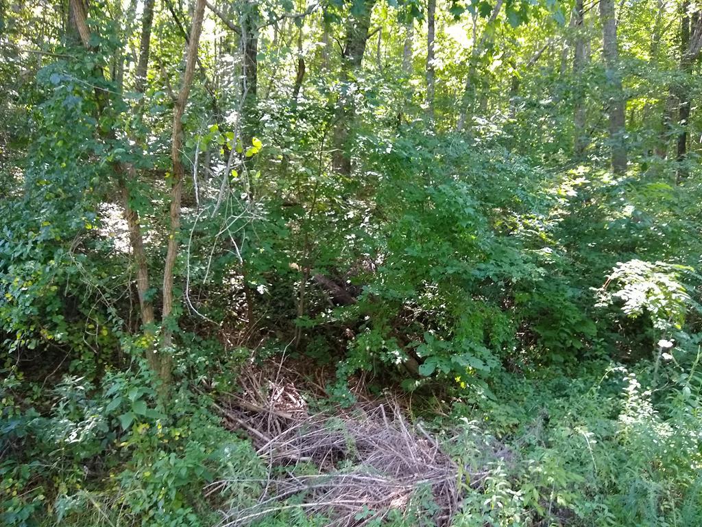 Lot 83 Pincushion Lane - Photo 1 Lot 83 Pincushion Lane - Photo 1