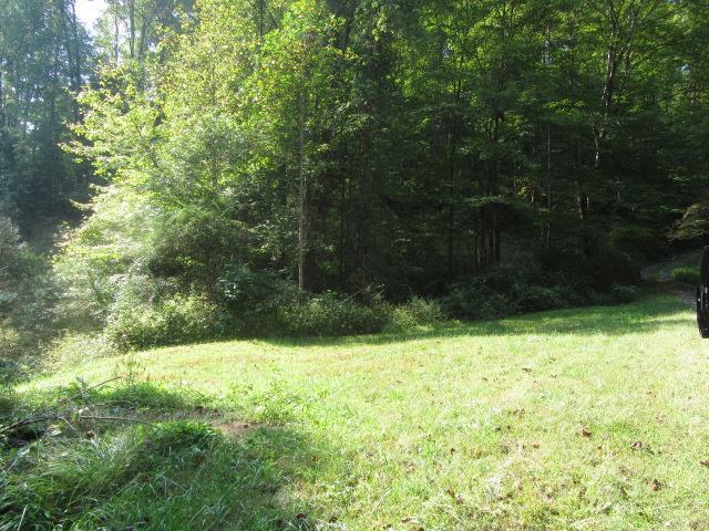 0 0 Bachman Road - Photo 1