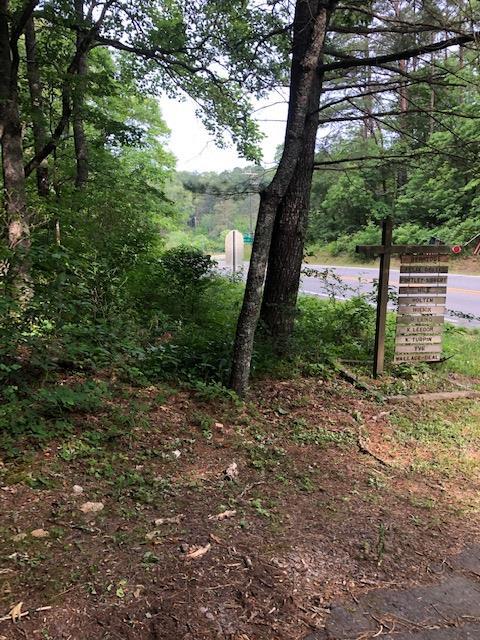 0 Bryson City Road - Photo 1