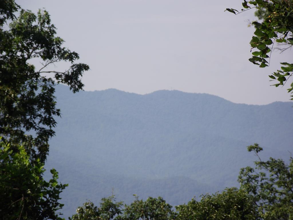 0 Coopers Crk Rd - Photo 1