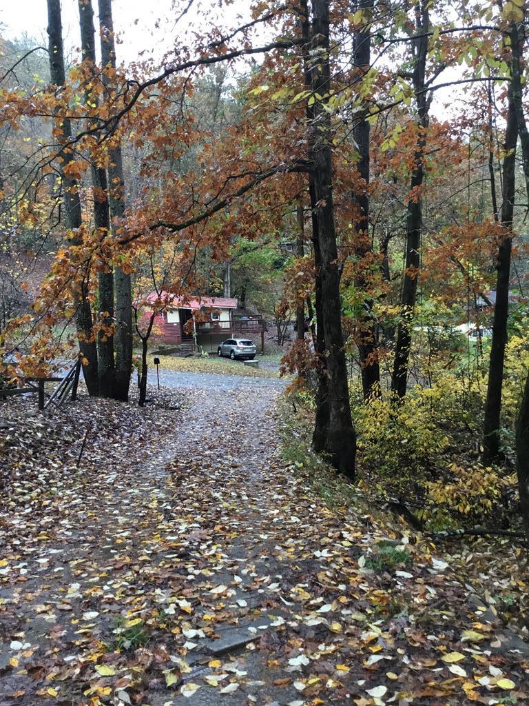 313 Bear Cove Rd - Photo 1