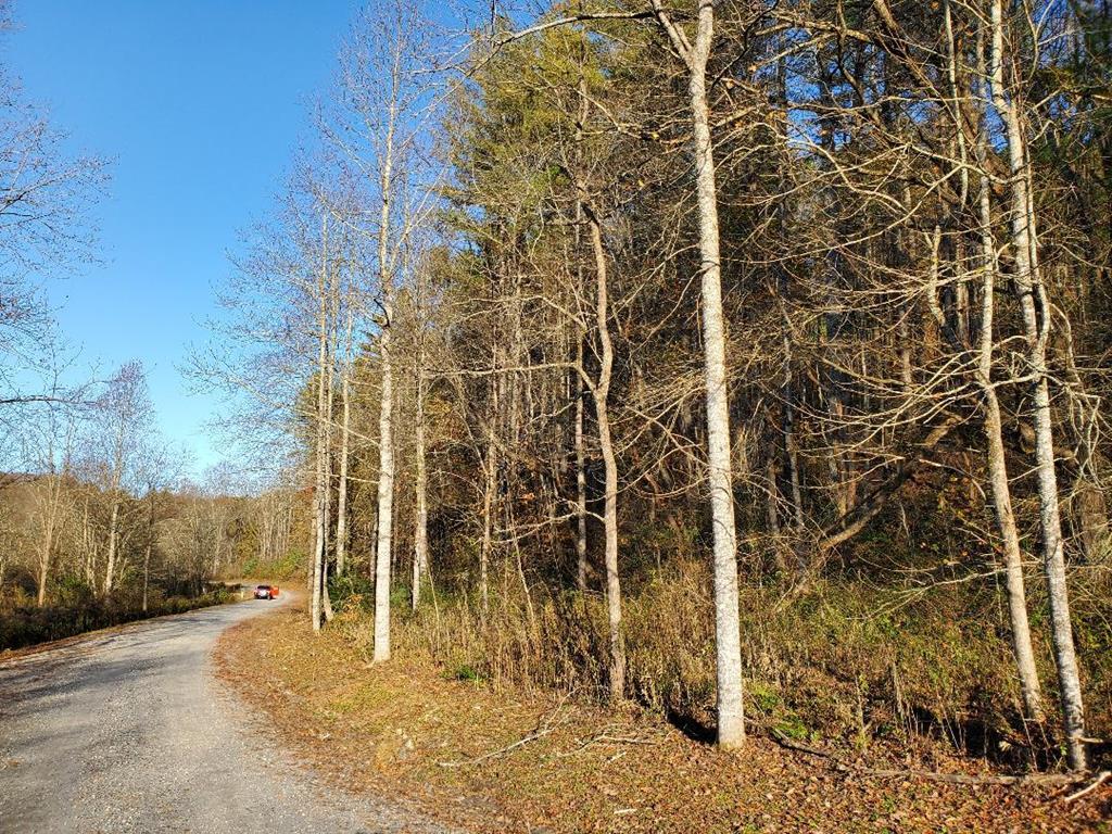 0 Rustling Woods Trail - Photo 1 0 Rustling Woods Trail - Photo 1