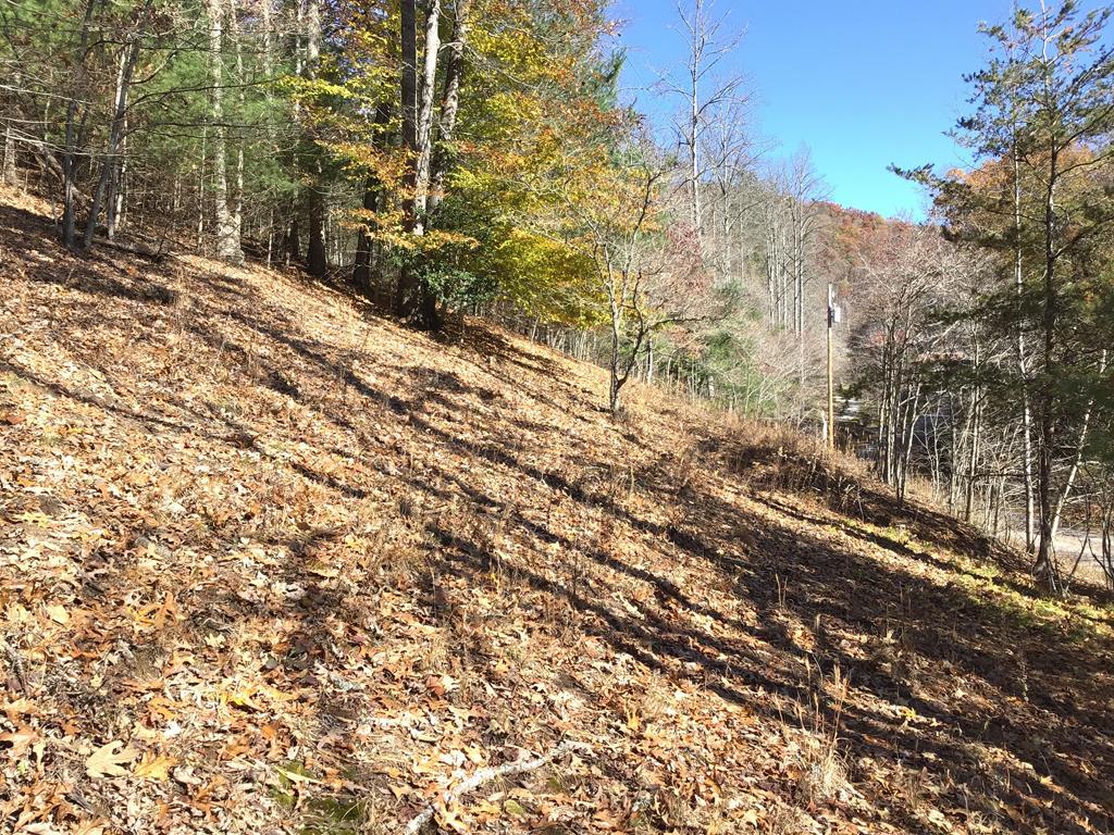 00 Queens Branch Road - Photo 1