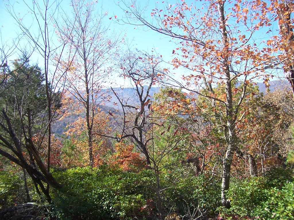 #3 West Old Murphy Road - Photo 1