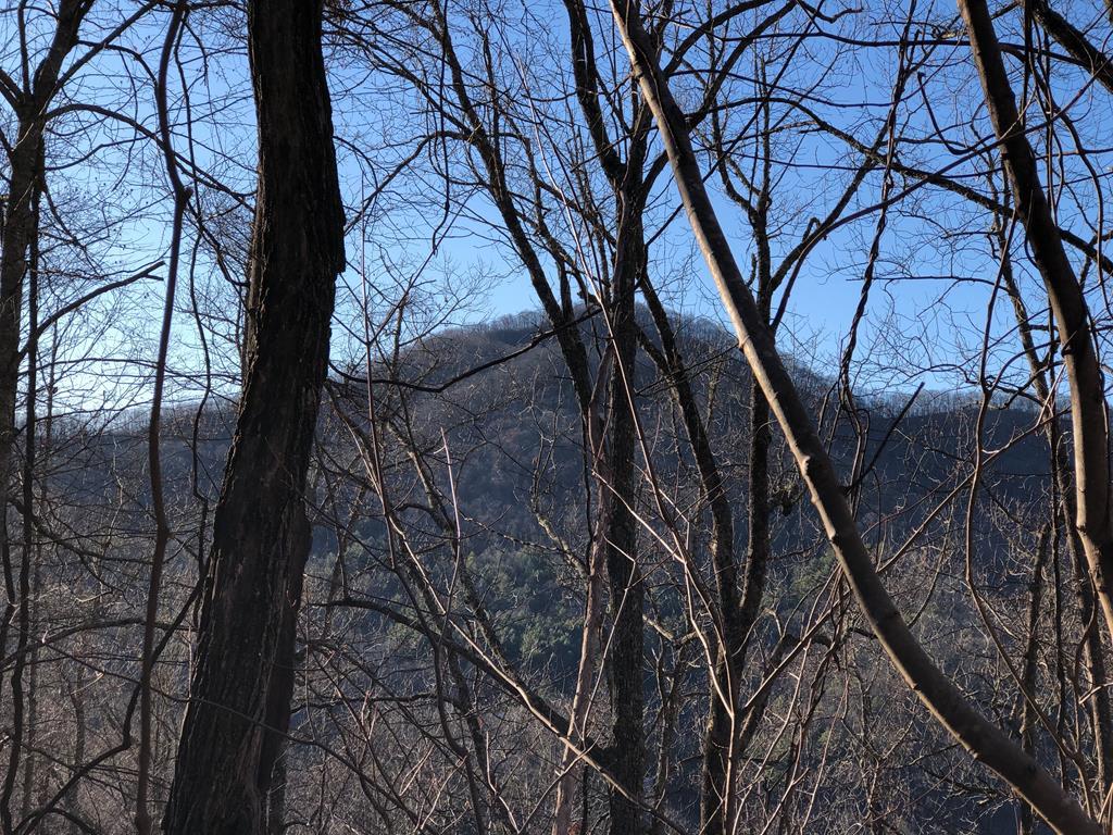 00 Perry Rd - Photo 1