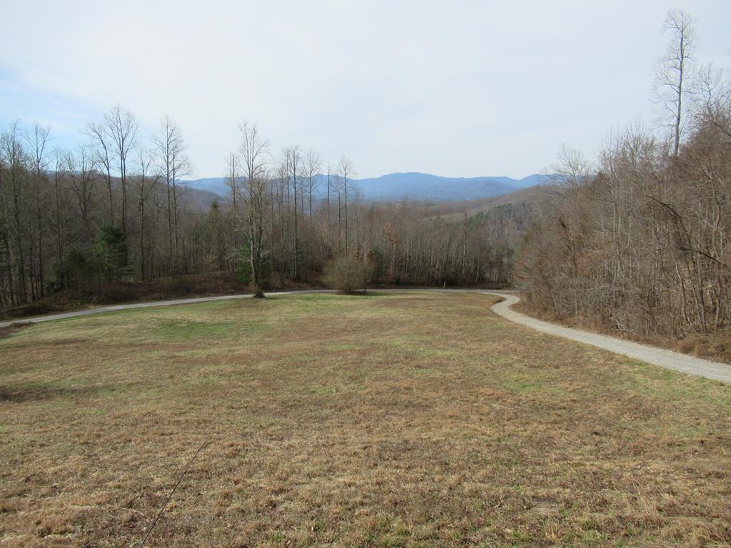 00 Hemlock Falls Rd - Photo 1