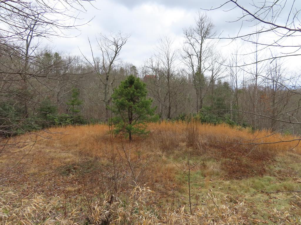0 Long Branch Road - Photo 1