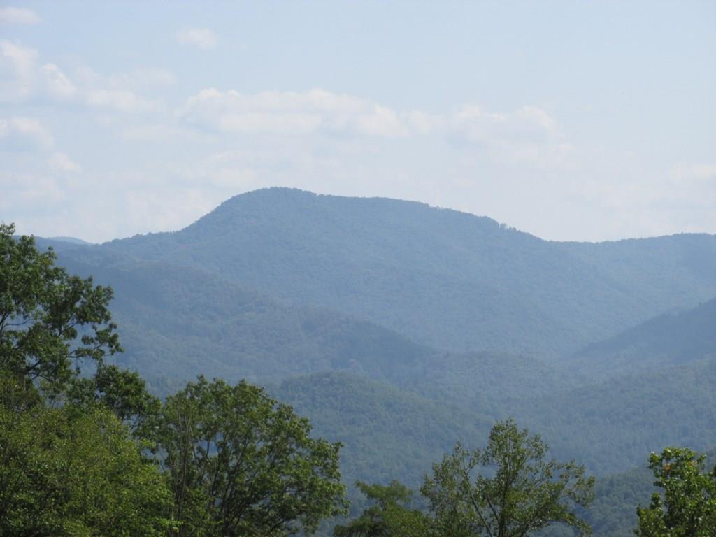 Lot 21 Gobbler Rdg - Photo 1