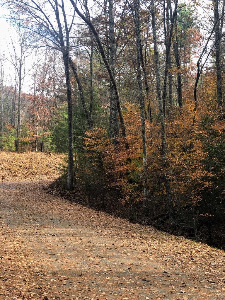 0 Rustling Woods Tr - Photo 1 0 Rustling Woods Tr - Photo 1