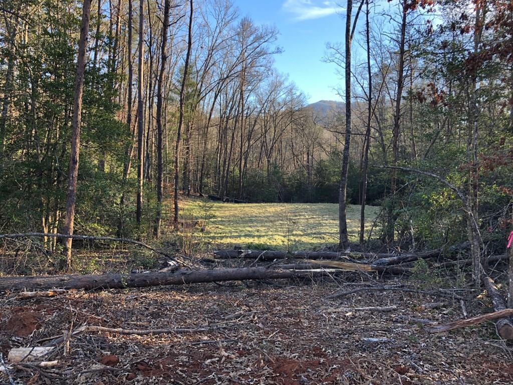 Lot #62 River Club Drive - Photo 1