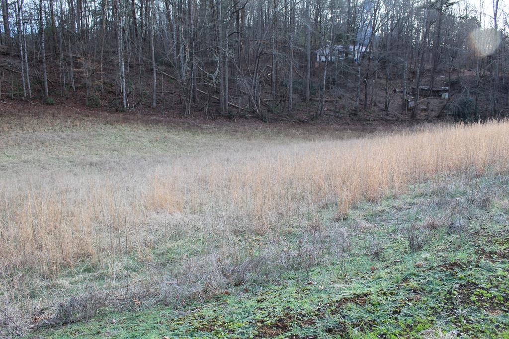 0 Jacobs Road Lot # 8 - Photo 1