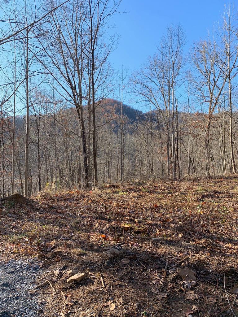 241 Fallen Oak Drive - Photo 1