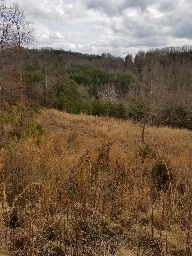 0 Lot # 4 Buena Vista Rd. - Photo 1 0 Lot # 4 Buena Vista Rd. - Photo 1