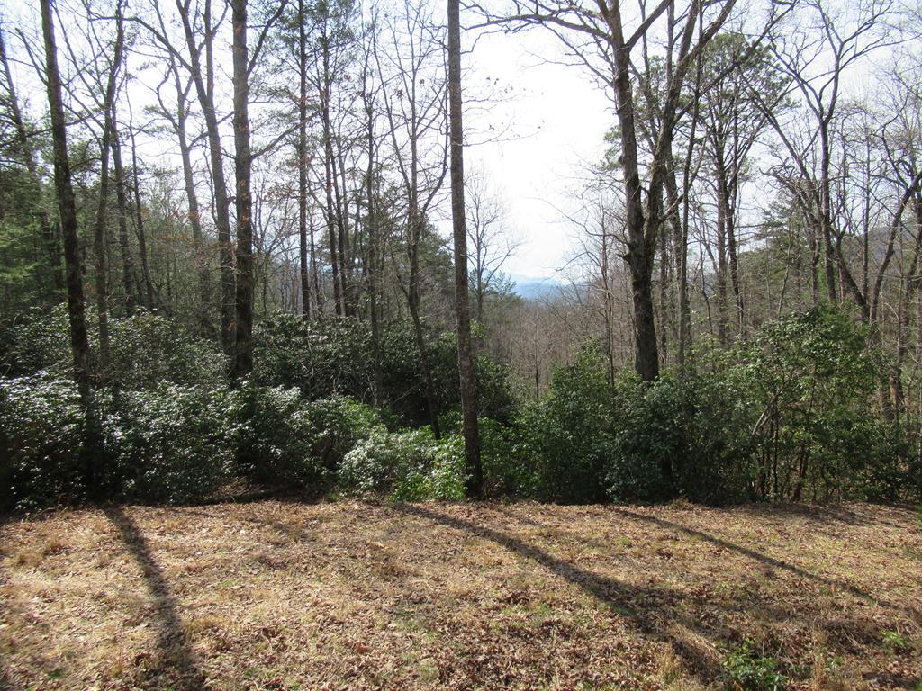 00 Cliff View Dr - Photo 1