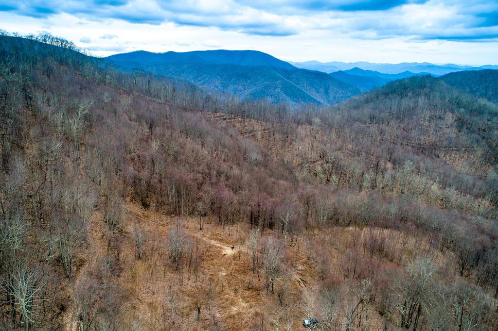 0 Caney Fork Rd - Photo 1 0 Caney Fork Rd - Photo 1