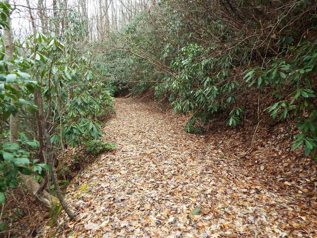 191 Meadering Woods Ridge - Photo 1
