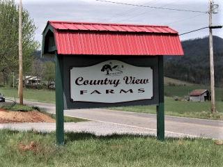 Lot 14 Bryson City Rd - Photo 1