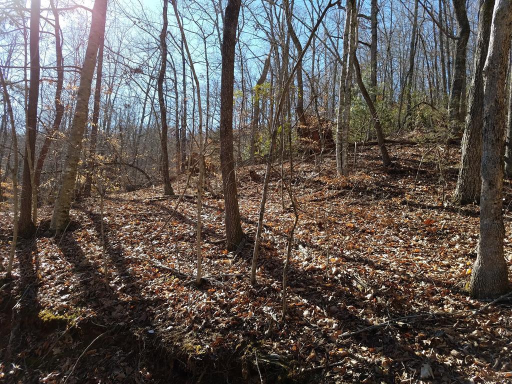 Lot 31 Heritage Mountain Estates - Photo 1