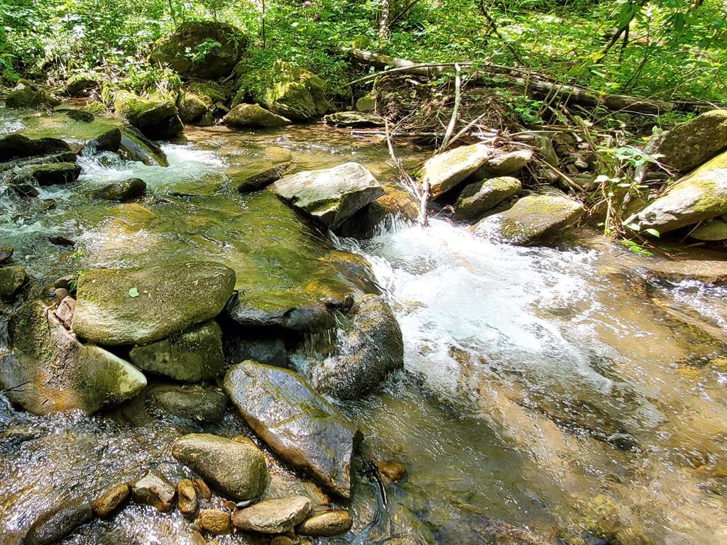 00 Buck Creek Road - Photo 1 00 Buck Creek Road - Photo 1